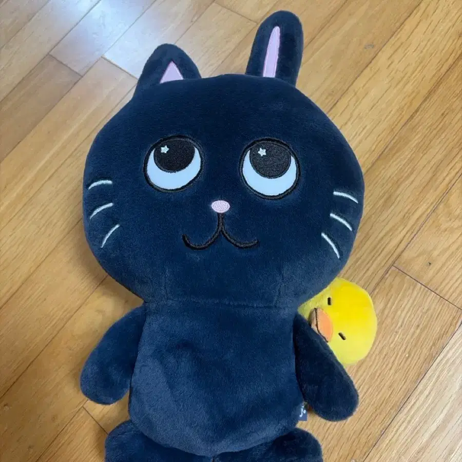 라이즈 원빈 토냥덕 40cm인형