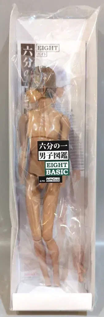 반려동물 웍스 육분의 일 남자 도감 에이트 B2508