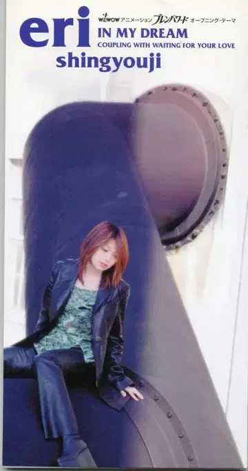 8cmCD 신교지 에리 IN MY DREAM