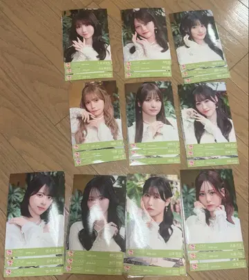 이코라브 모라토리움 생사진 풀컴프