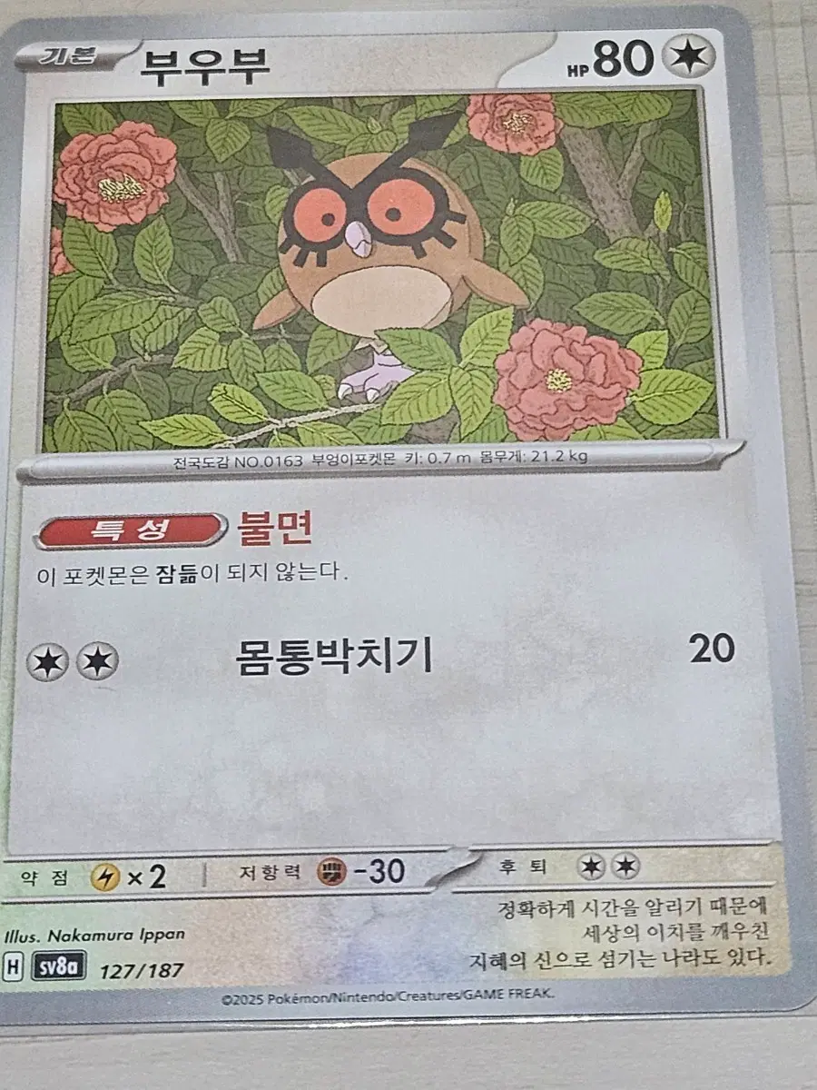[최저가] 포켓몬 카드 부우부 127/187