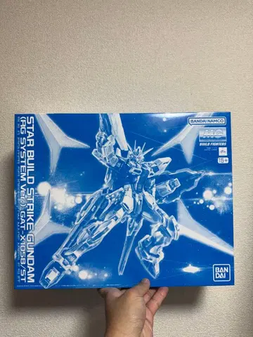 MG 1/100 스타 빌드 스트라이크 건담 (RG 시스템 Ver.)