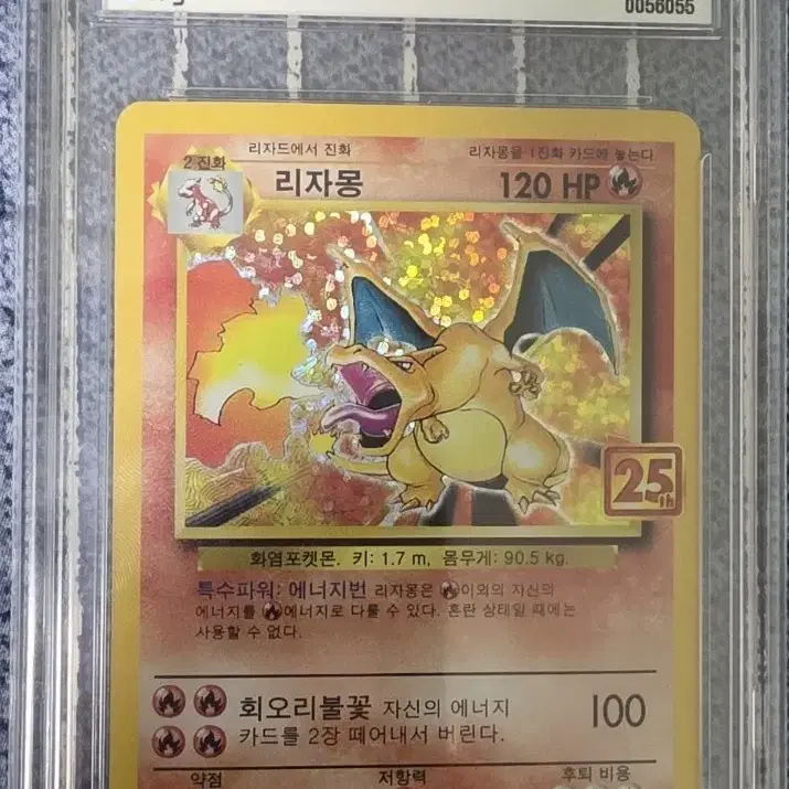 포켓몬 카드 25주년 리자몽 brg 8등급