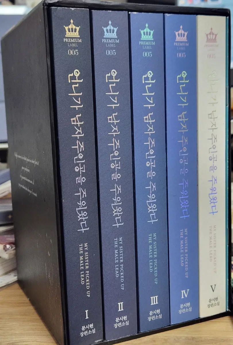 소설 <언니가 남자주인공을 주워왔다> 세트