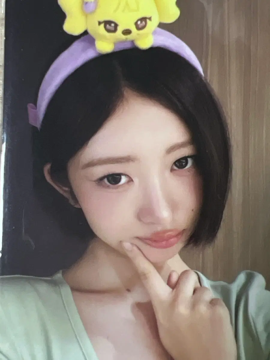 포에버아이브 에버랜드 레이