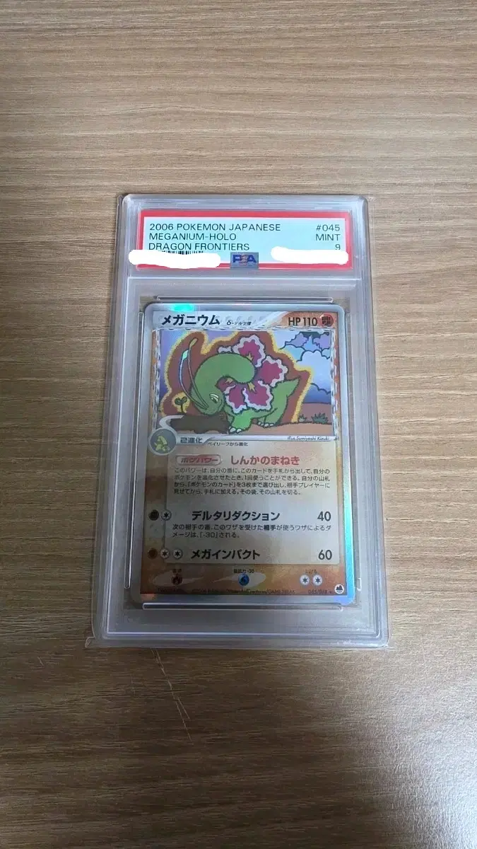 2006년 메가니움 델타종 홀로 일판 PSA9