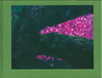 사카타 에이이치로 Stormy Weather