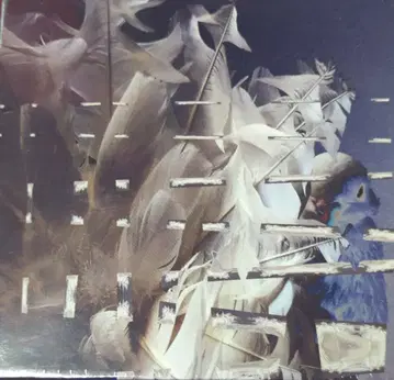 슬로우 다운 레코드 CD MERZBOW FANTAIL VISION