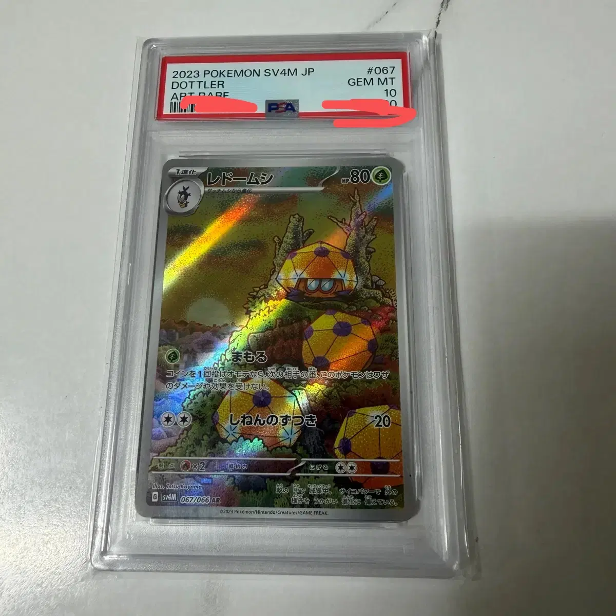 2023 포켓몬 카드 레어 도틀러 067 GEM MT 10