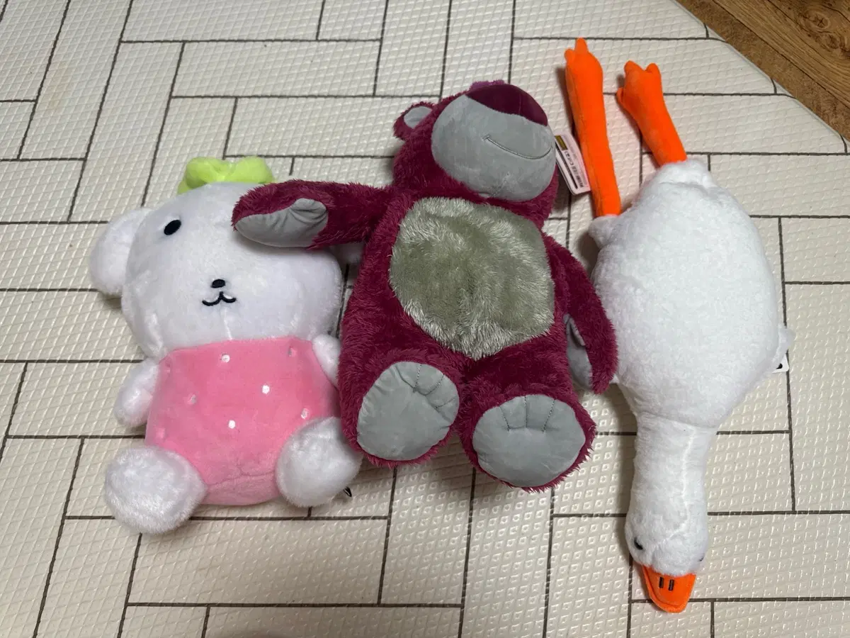 가다니, 랏소베어, 오리 인형