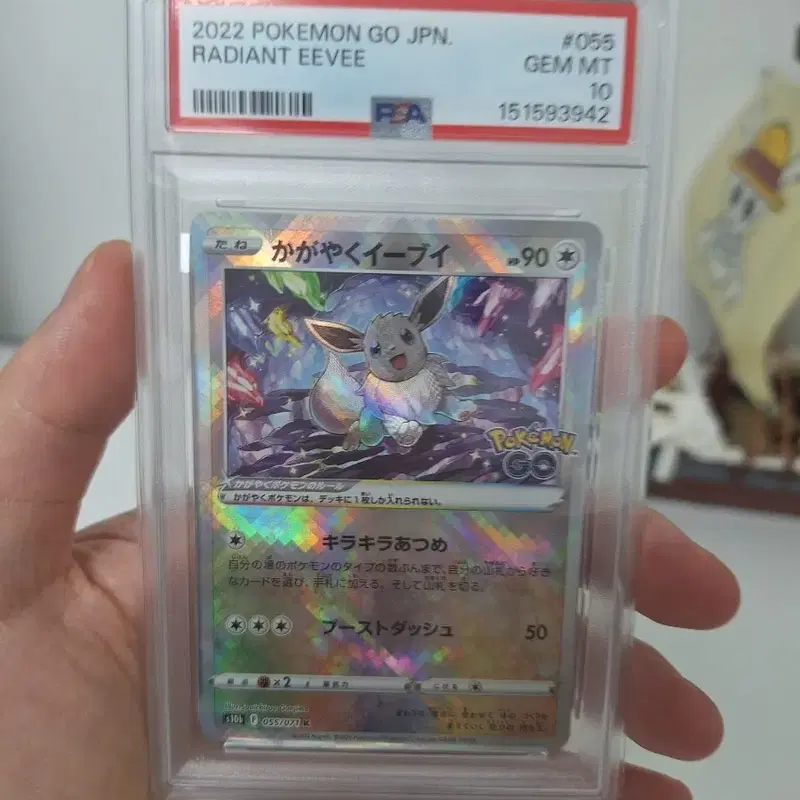 포켓몬고카드 JPN 빛나는 이브이 레디언트 psa10