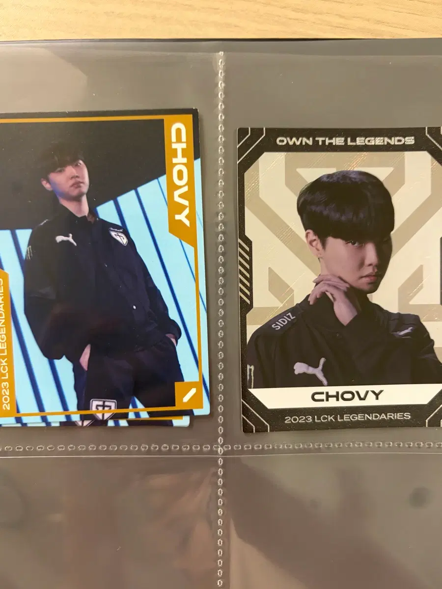초비 포카