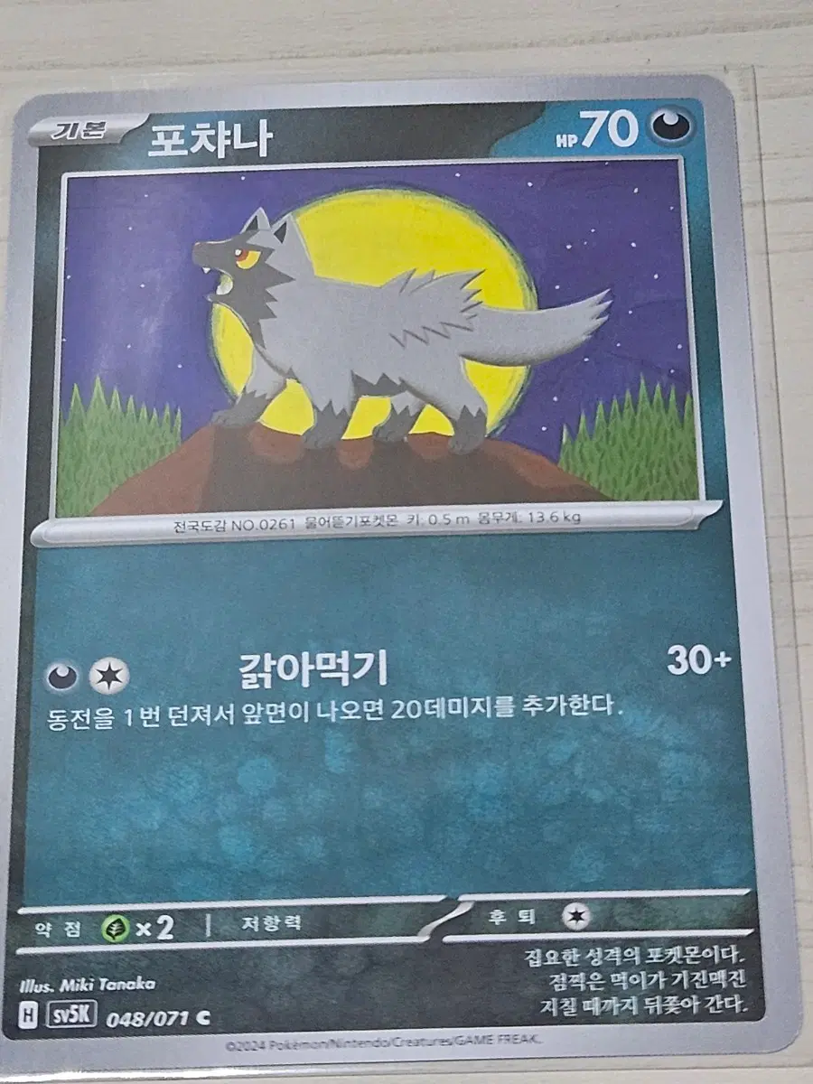 [최저가] 포켓몬카드 포챠나