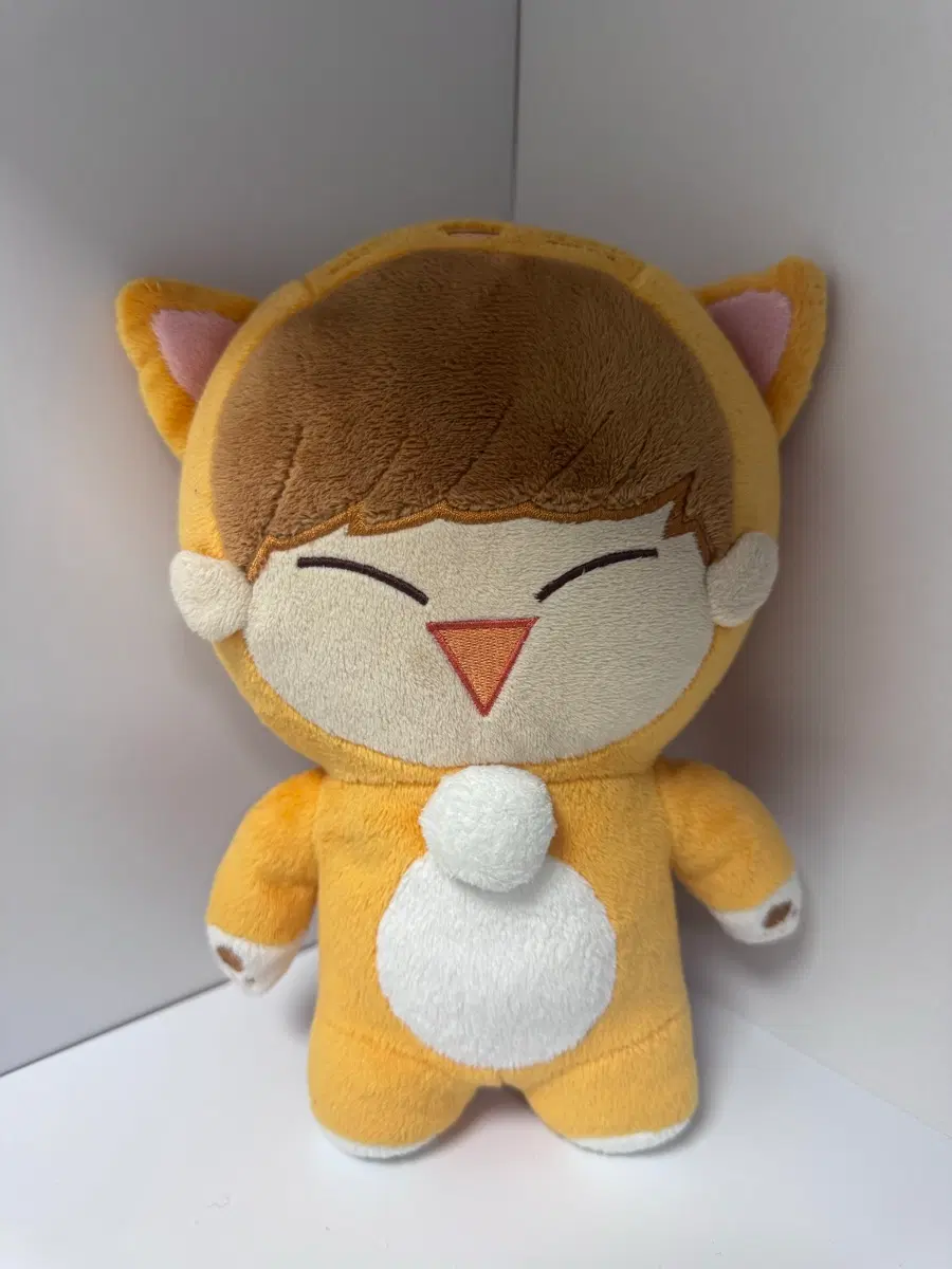 육성재 사막성재 인형 판매