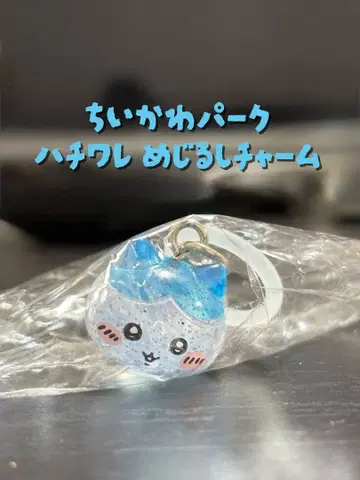 치이카와 파크 하치와레 마크 참