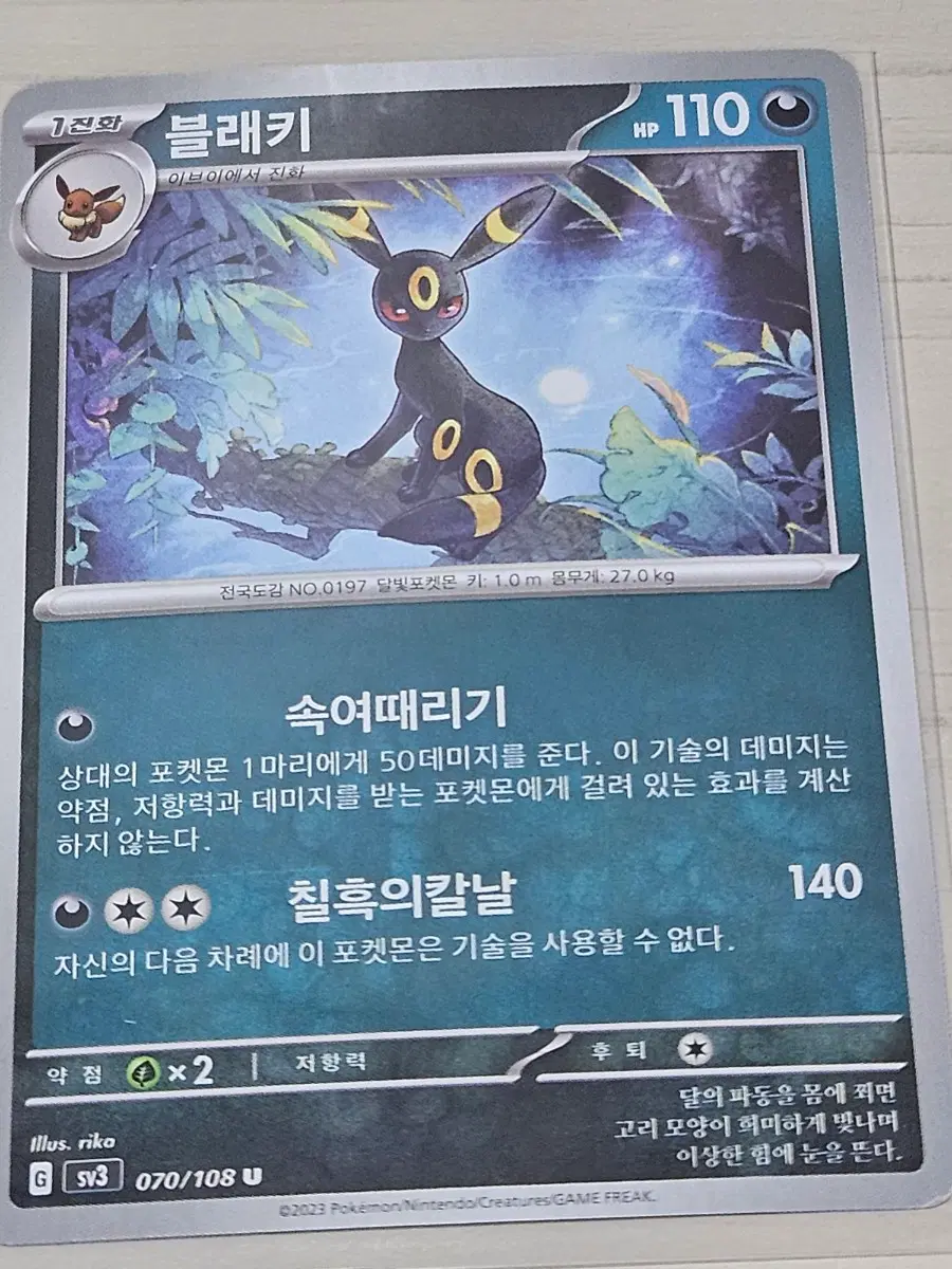 [득템] 포켓몬카드 블래키