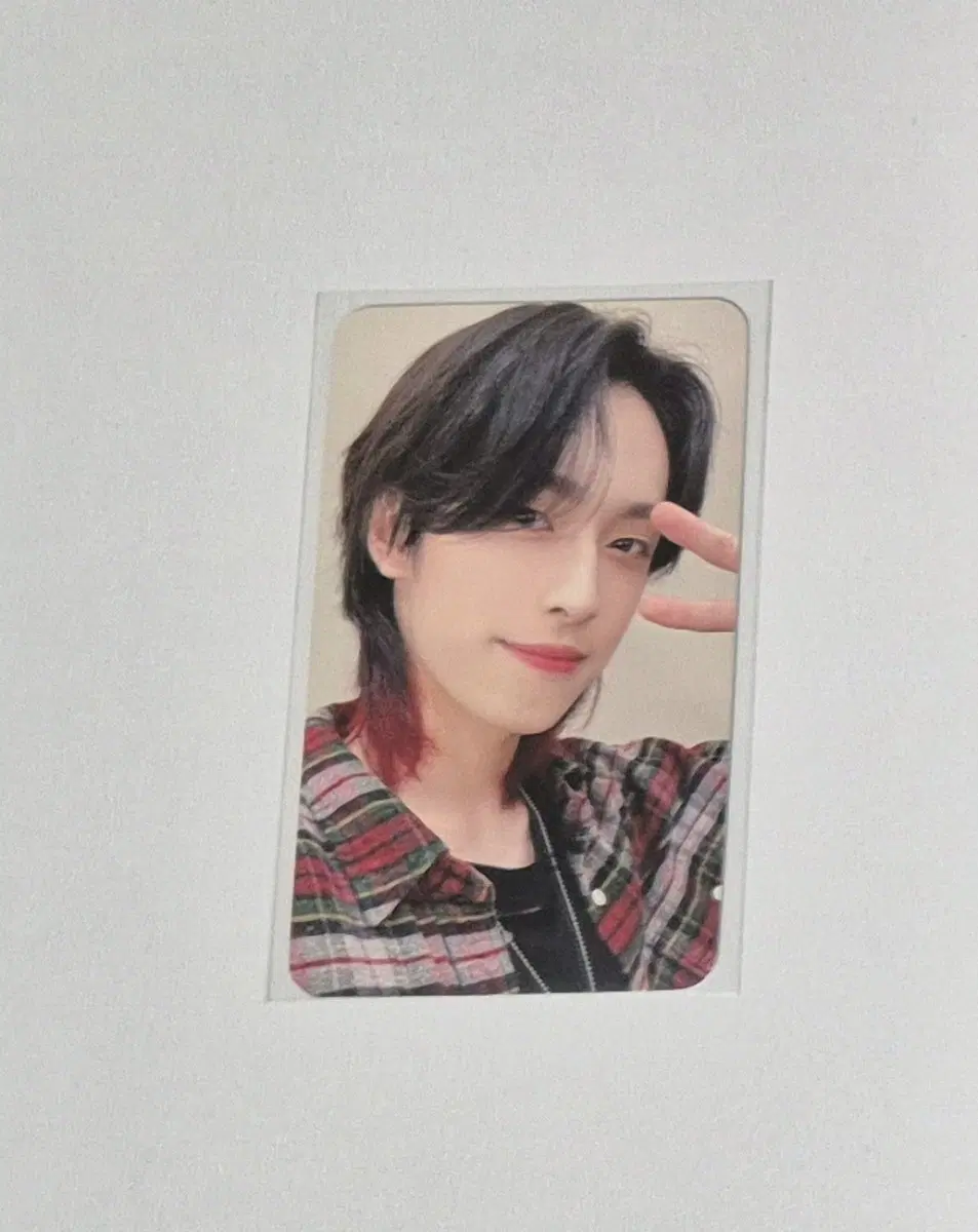 엑디즈 가온 블립 포카