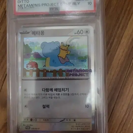 포켓몬카드 2025 메타몽 프로모카드 psa 10 사진 1