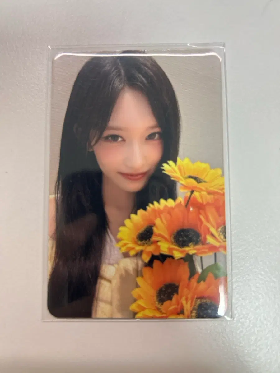 아이브 리바이브 시크릿 엠파시 스위치 시세킹 원영유진 가을레이리즈이서 포카양도