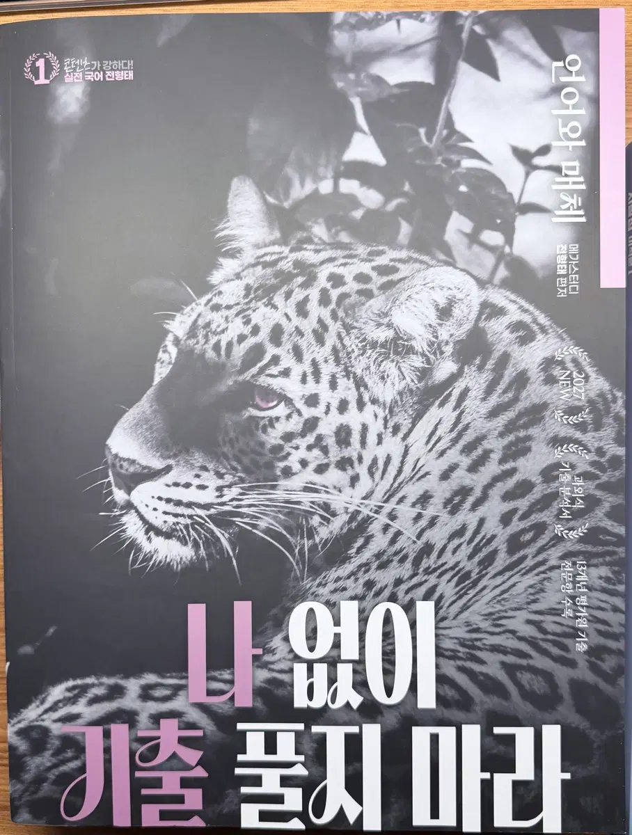 전형태 언어와 매체 나기출 새 책