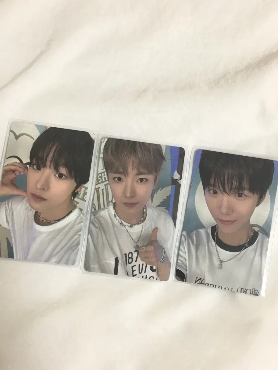 (리쿠)엔시티 위시 컬러 위버스 라이브 특전 포카