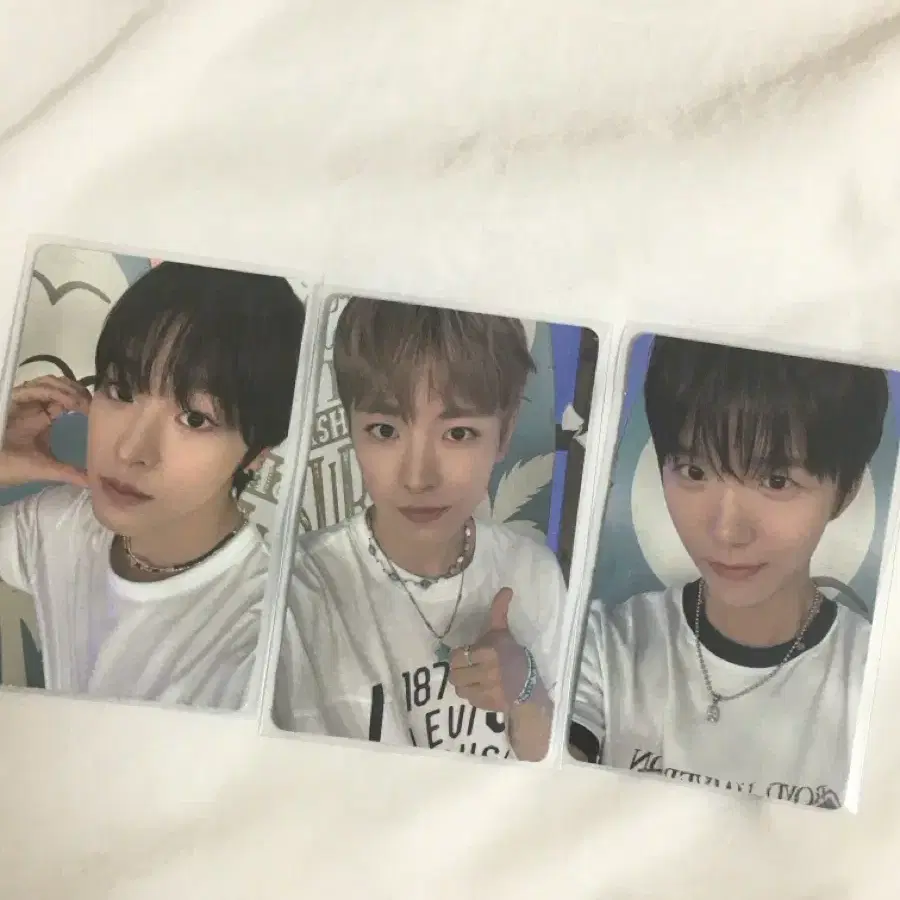 (유우시)엔시티 위시 컬러 위버스 라이브 특전 포카
