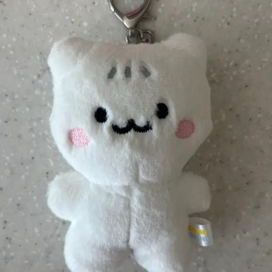 샤이니 태민 꿍댕 댕 고양이 인형 키링