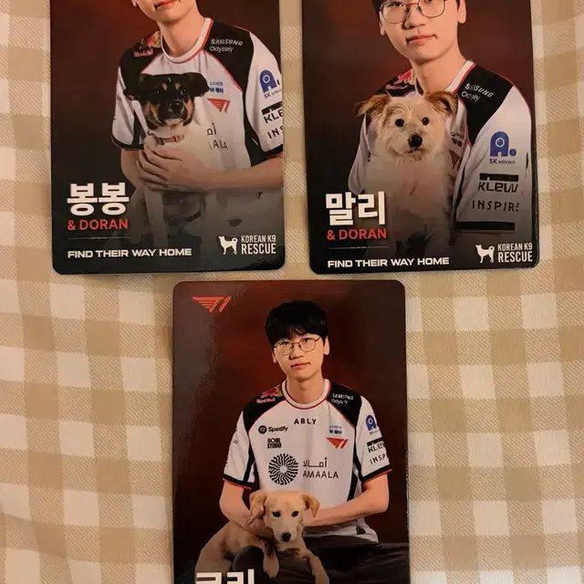 티원 Home Ground 도란 포카 세트