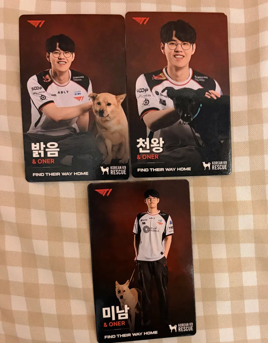 티원 Home Ground 오너 포카 세트