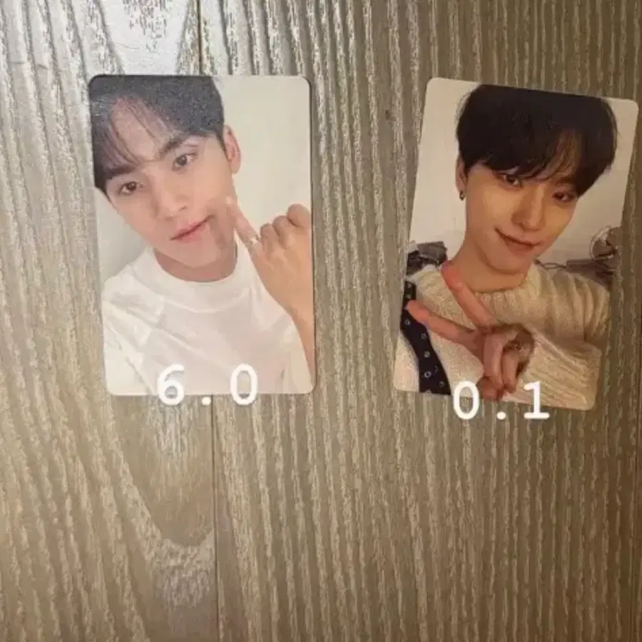 세븐틴 svt 민규 디노 포토카드 포카 양도 투포아 24h 반지민규 페더썬 디노