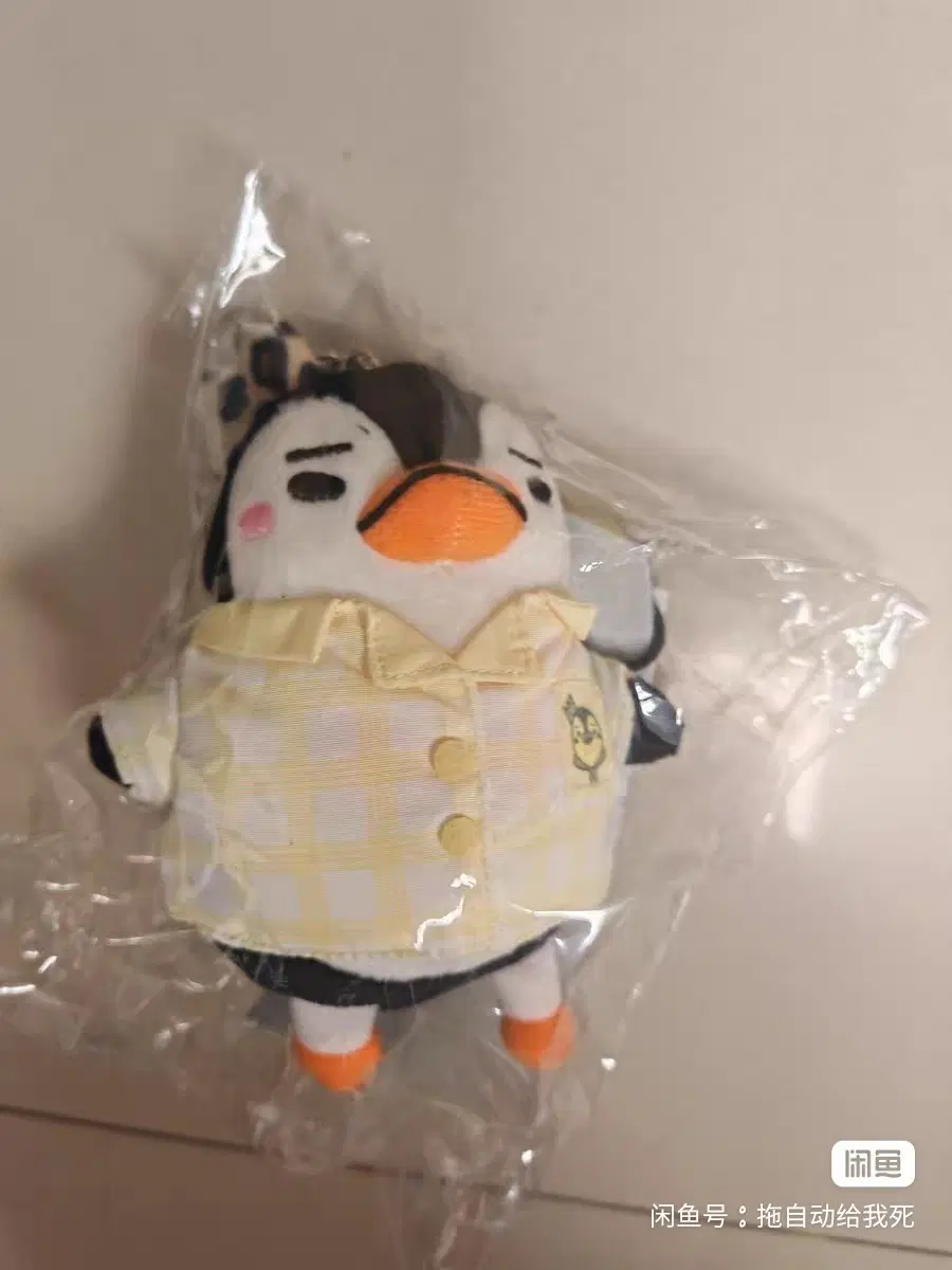 예판 2pm 일본 인형