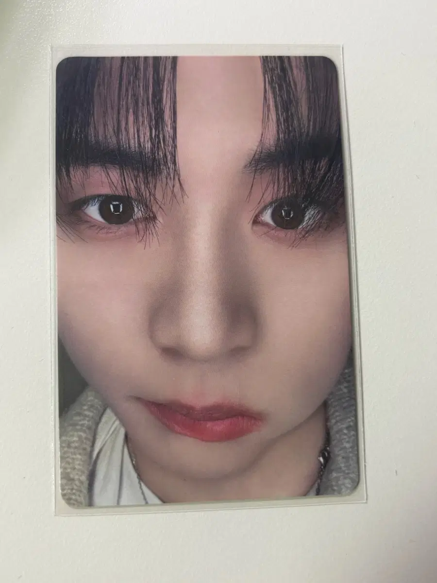 보넥도 태산 타워레코드 팝업 포카
