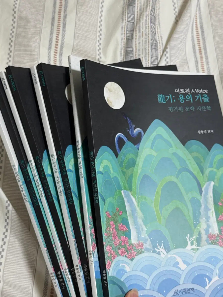 시대인재 국어 황용일T 용의 기출 용기 문학 기출 문제집