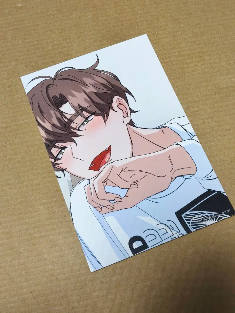 너찾파 물밤 물가의밤 박노덕 등 엽서 6장 일괄 급처분