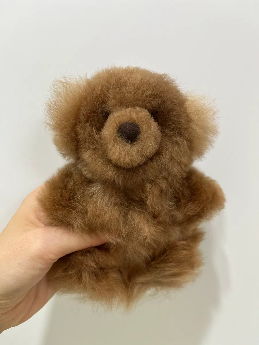 컴발리 알파카 곰인형