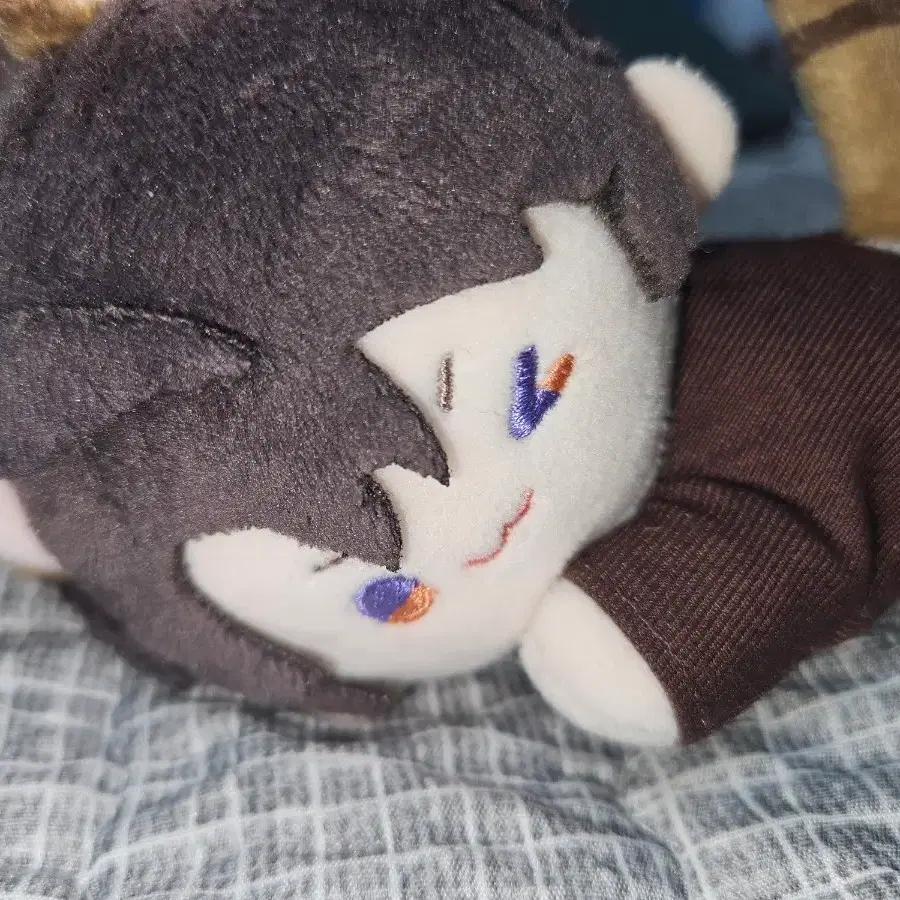 공식)럽딥 하우주 냥집사 인형