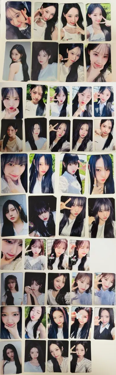 리센느 데자부 앨범포카