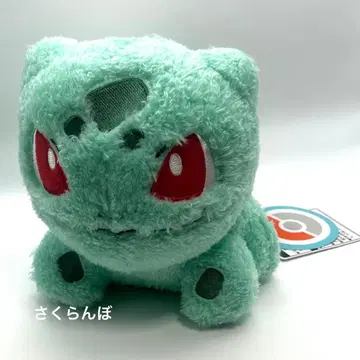 [ 새상품 ] 포켓몬 모코모코푸치 봉제 인형 이상해씨 귀여운