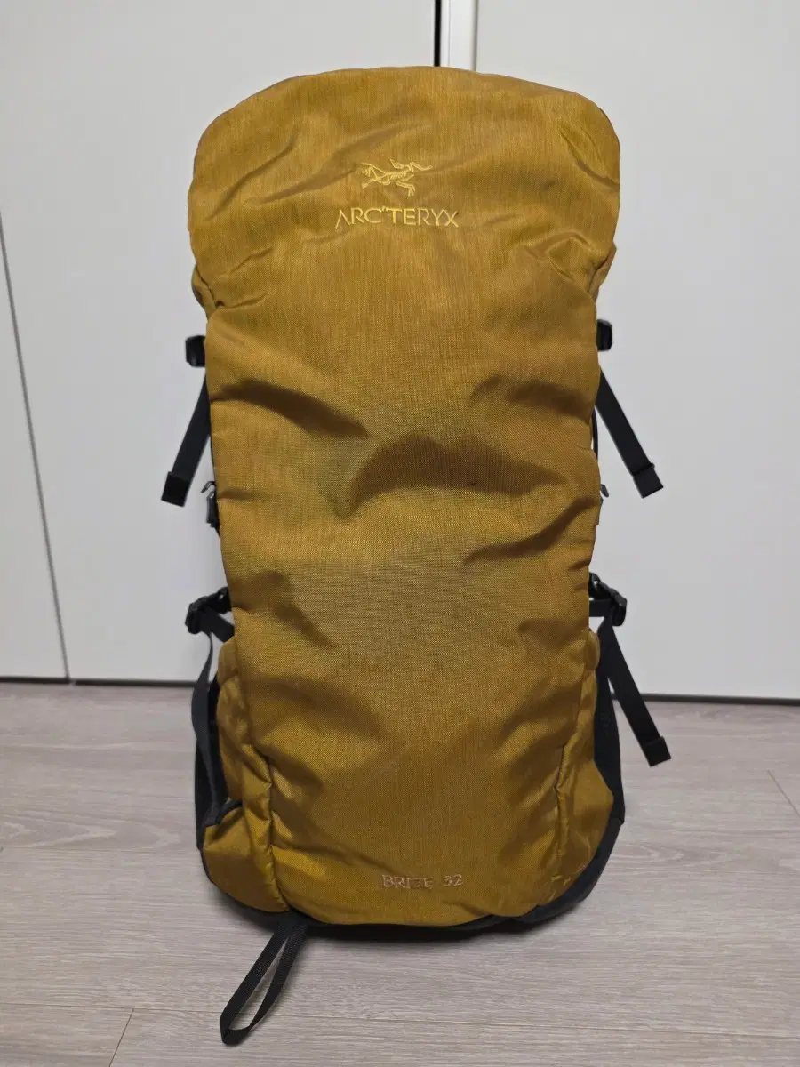 아크테릭스 Brize 32 Backpack Black (Regular)
