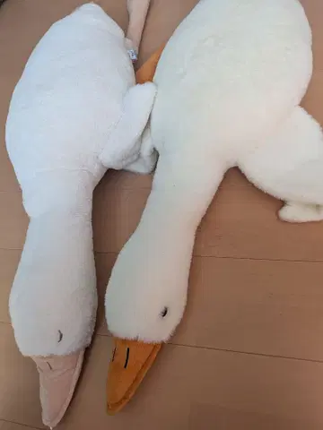 흐물흐물 오리2 초 울트라 BIG 봉제 인형 2종 세트