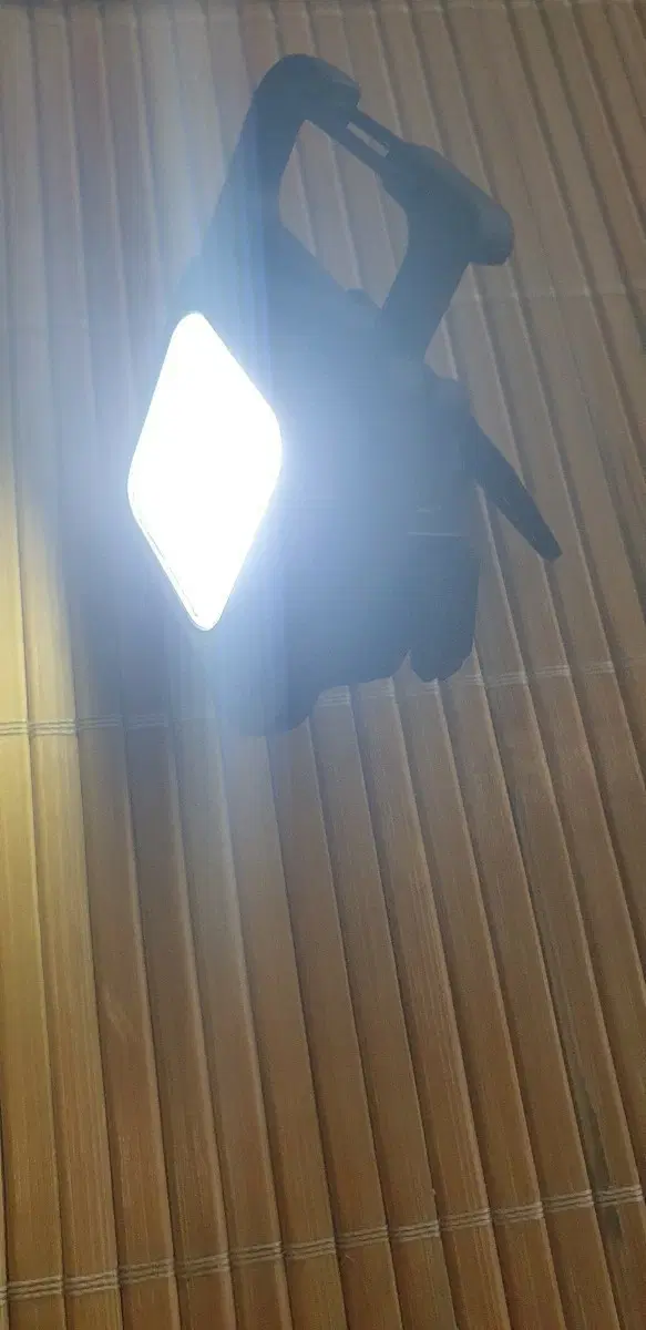 라이트