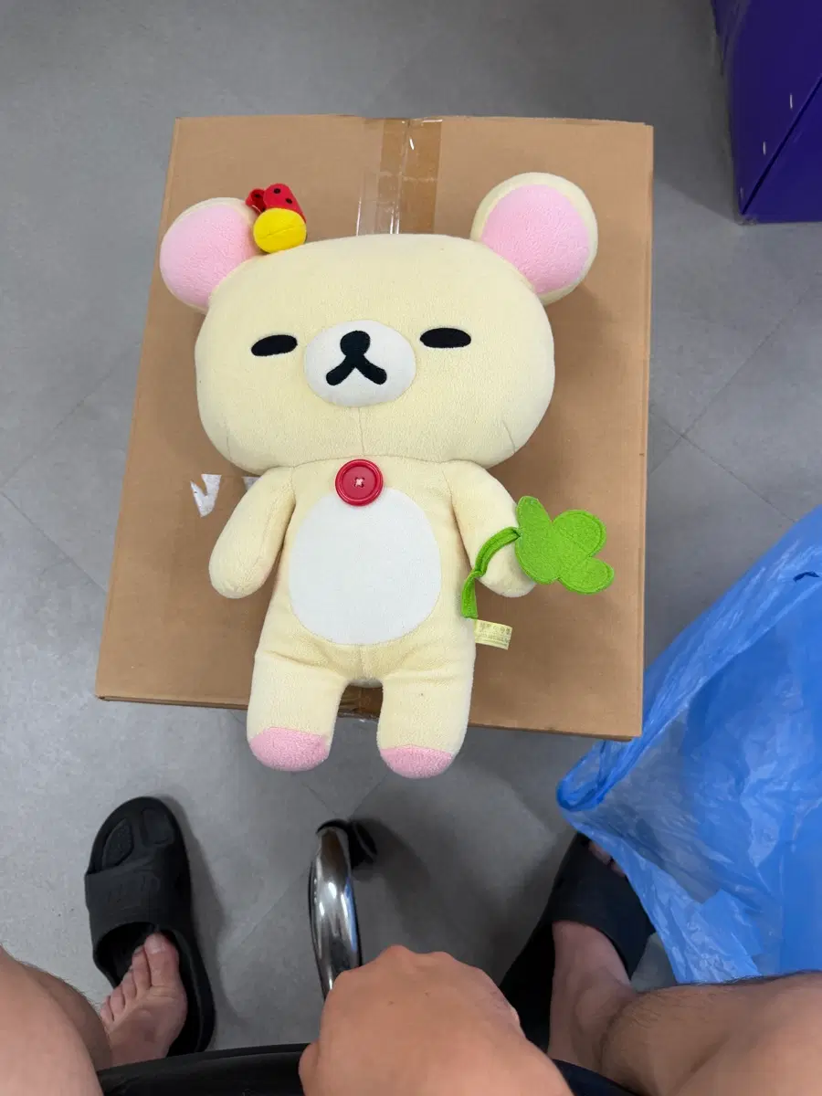 코리락쿠마 네잎클로버 인형