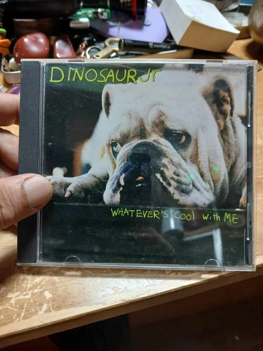 DINOSAUR JR WHATEVER'S COOL WITH ME
