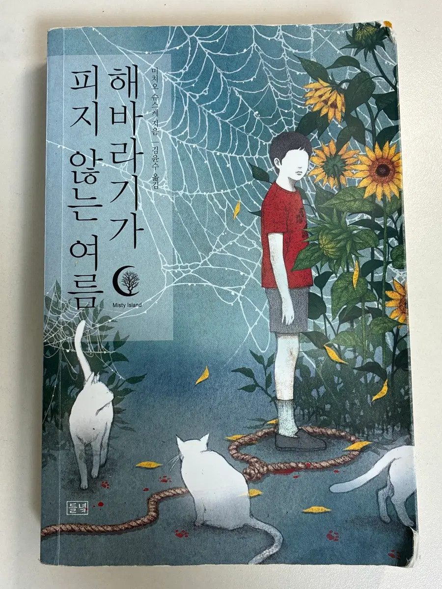 친밀한 이방인, 해바라기가 피지 않는 여름, 너는 달밤에 빛나고 소설책