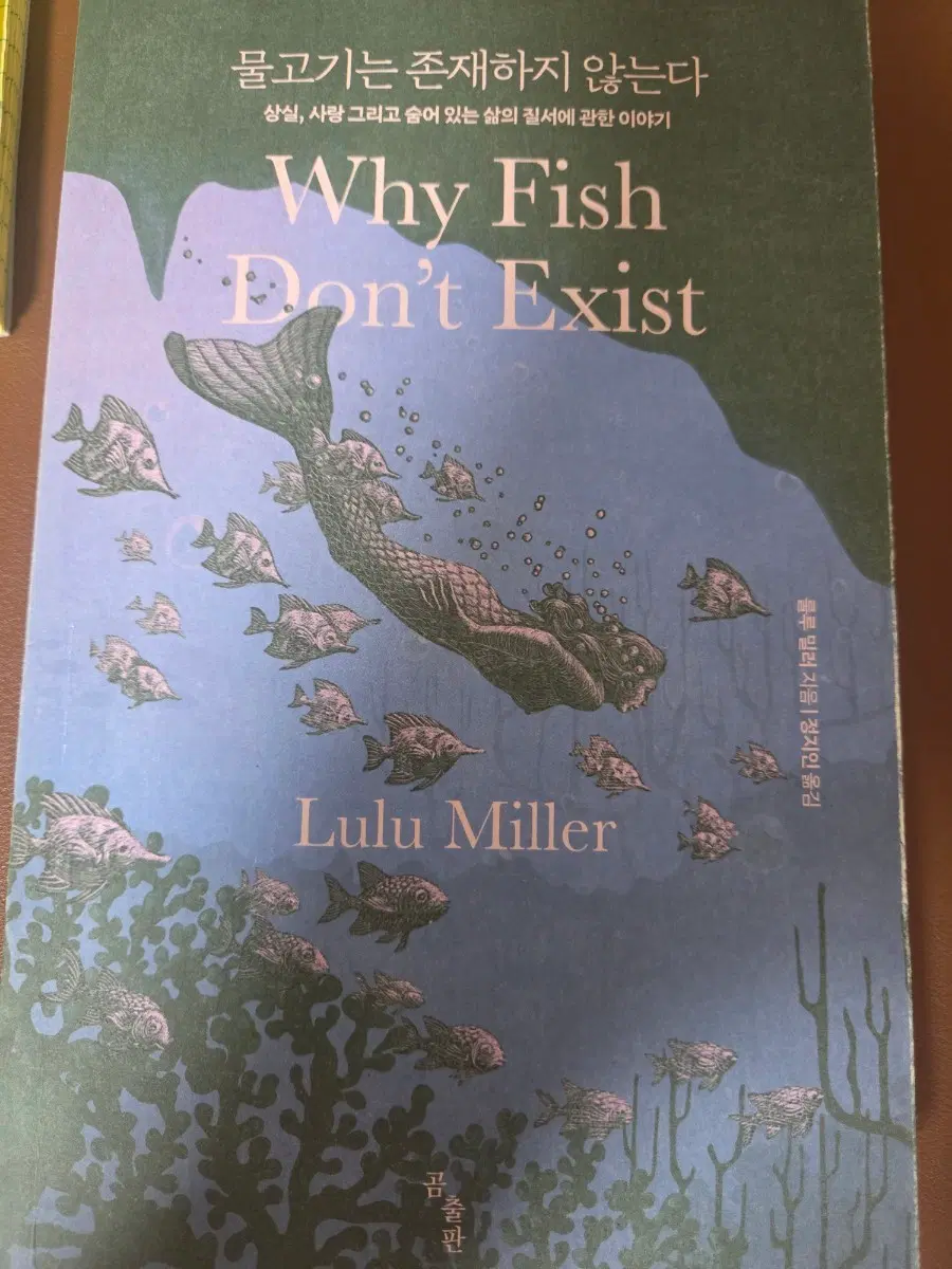 물고기는 존재하지 않는다 (Why Fish Don't Exist) 루루 밀러