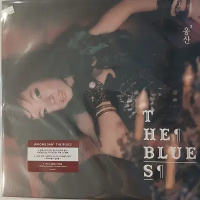 [리이슈엘피] 웅산 Woong San  The Blues