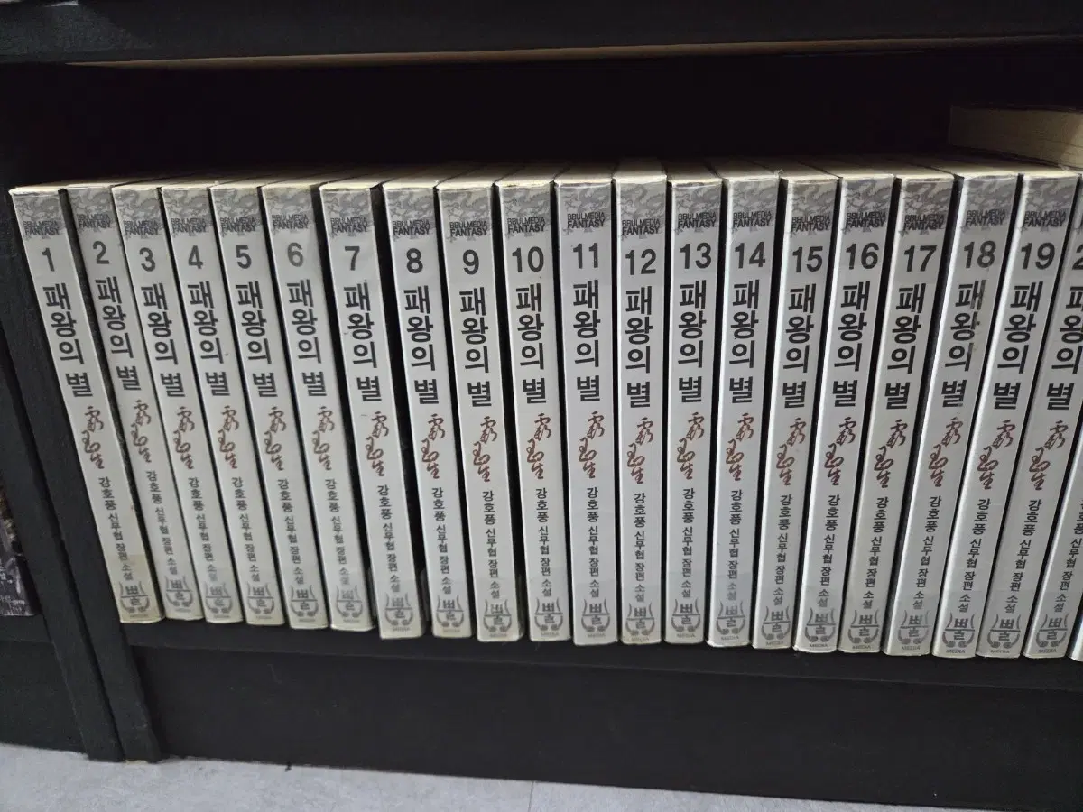 패왕의별 1-30완 소설