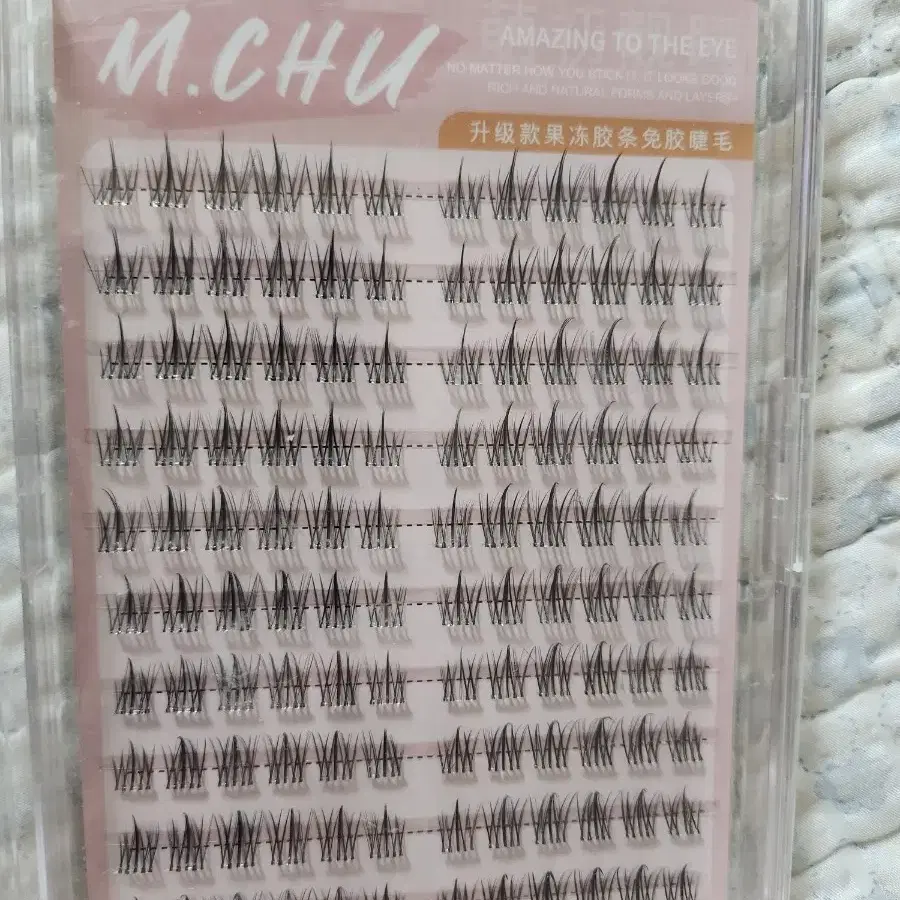 노글루속눈썹