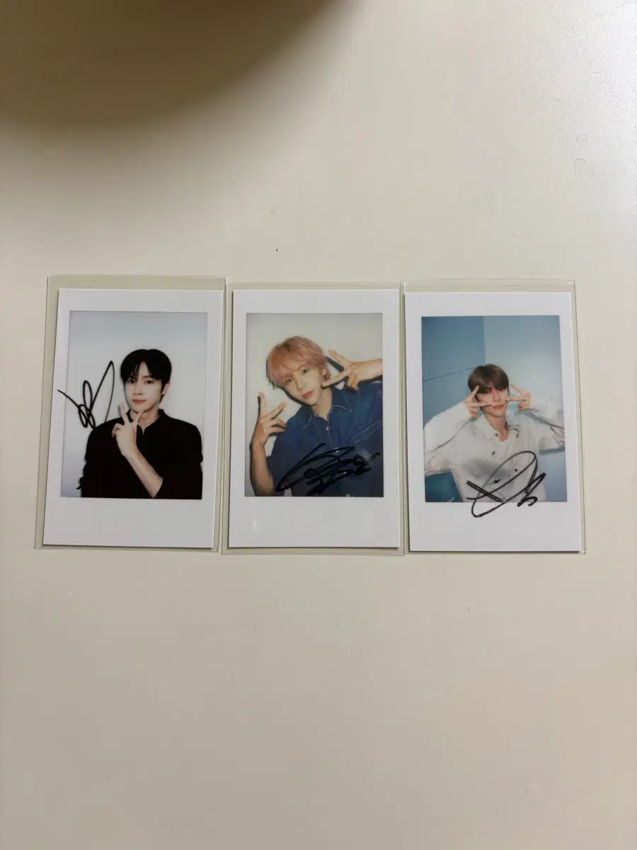 라이즈 싸인 폴라 일괄 성찬 쇼타로 은석