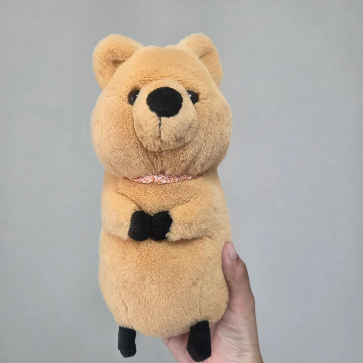 쿼카 필통 인형
